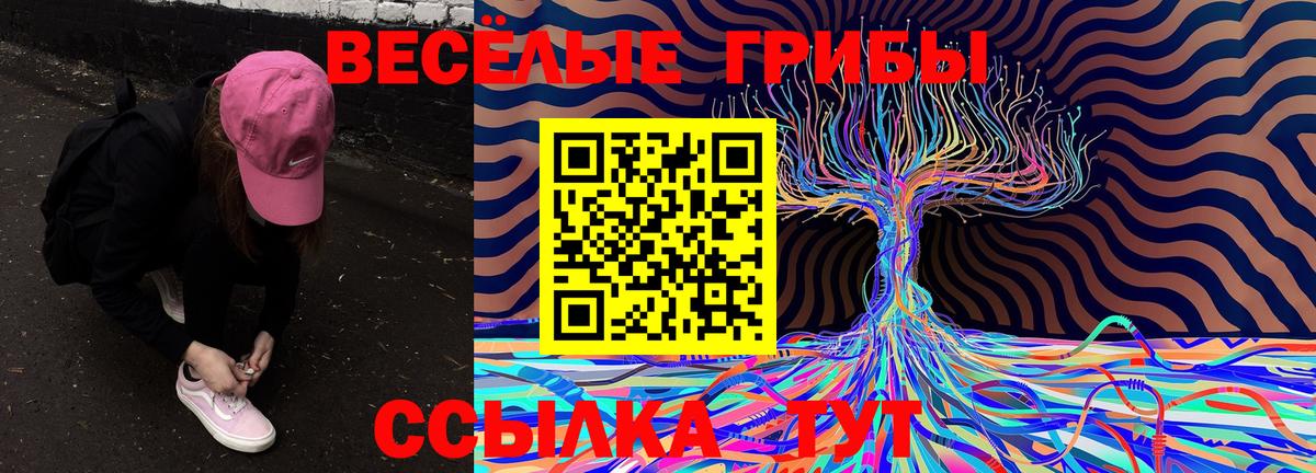Галлюциногенные грибы GOLDEN TEACHER  цена   Псков  Вход с VPN  Псилоцибиновые грибы мухоморы 
