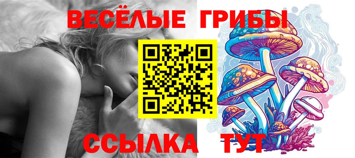 Галлюциногенные грибы мухоморы Псков